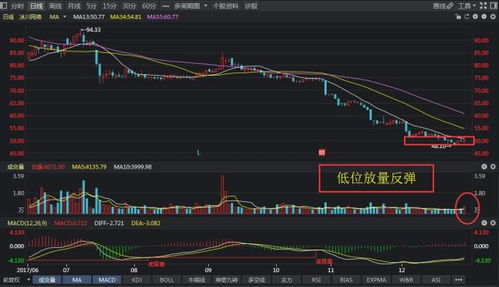 贯穿整个2017年的灵魂概念再度回归